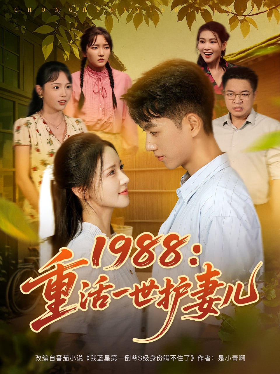 1988重活一世护妻儿(全集)