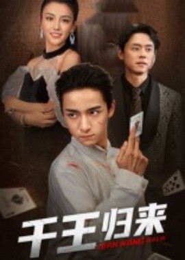千王归来(全集)