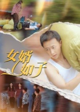 女婿如子(全集)
