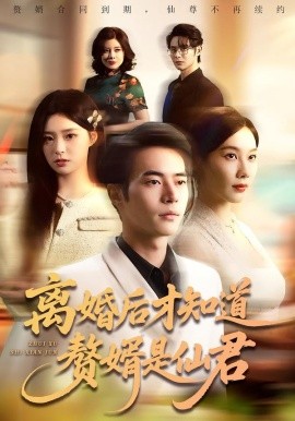 离婚后才知道赘婿是仙君(全集)