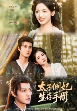 太子侧妃生存手册(全集)